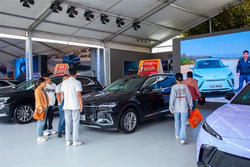 远通国庆车展开幕!#10503