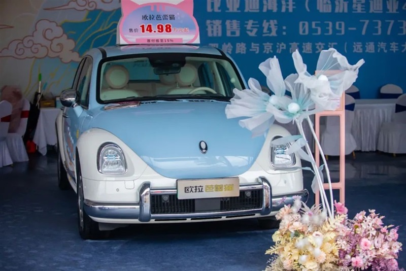 远通国庆车展开幕!#10518