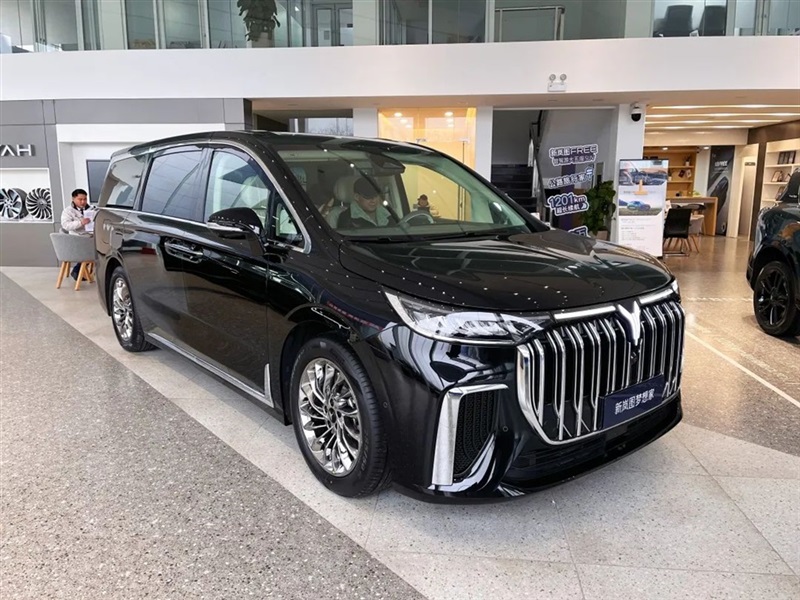 【远通新能源探店第13期】高端智慧新能源:岚图汽车#10905