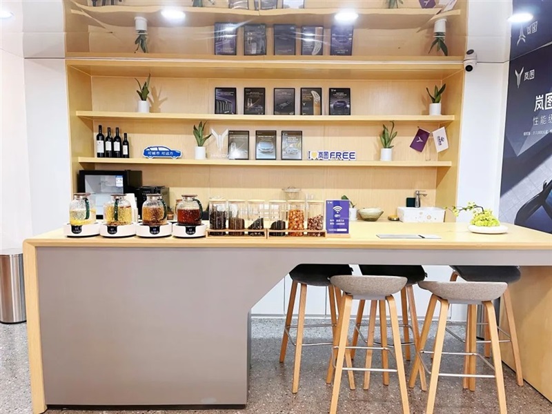 【远通新能源探店第13期】高端智慧新能源:岚图汽车#10893