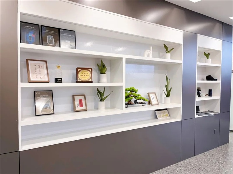 【远通新能源探店第13期】高端智慧新能源:岚图汽车#10888