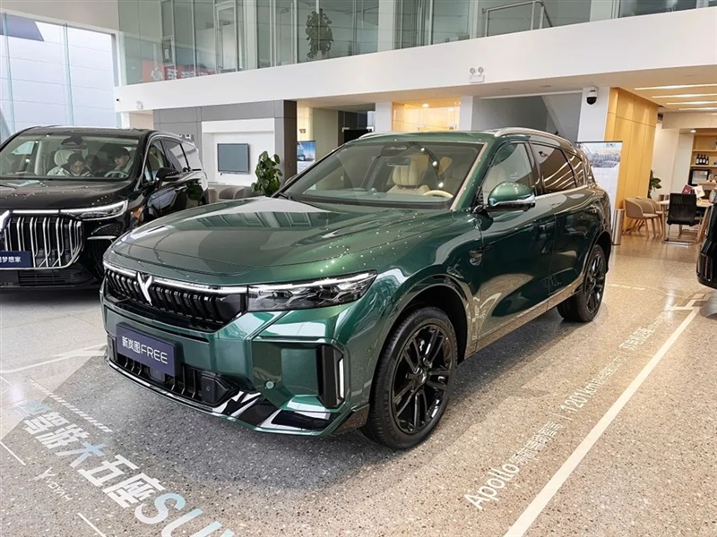 【远通新能源探店第13期】高端智慧新能源:岚图汽车#10895