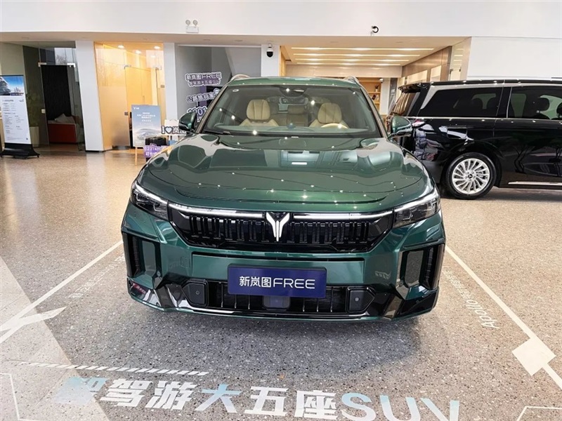 【远通新能源探店第13期】高端智慧新能源:岚图汽车#10899