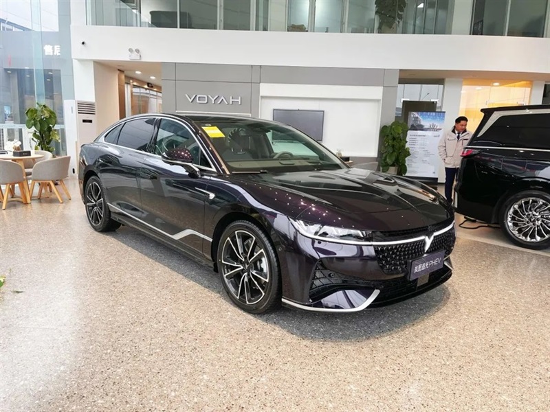 【远通新能源探店第13期】高端智慧新能源:岚图汽车#10900