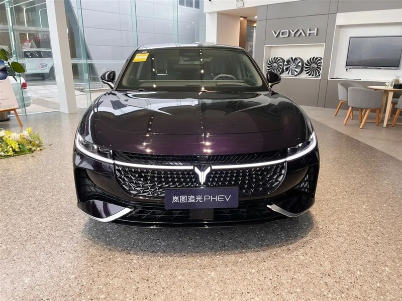 【远通新能源探店第13期】高端智慧新能源:岚图汽车#10901