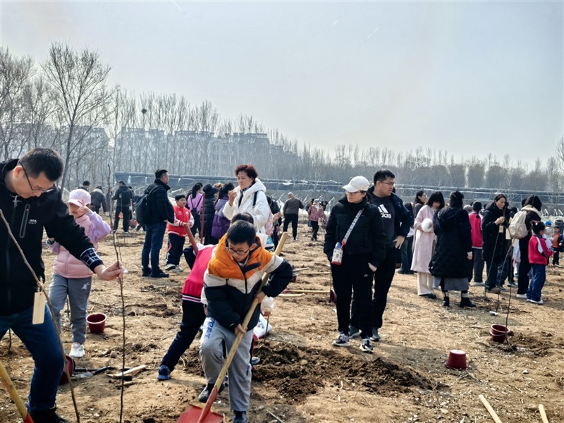 【远通车友家庭日系列活动第25期】远通车友植树节自驾游#11732