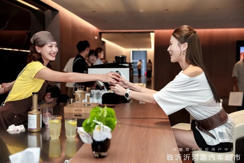山东最大鸿蒙智行用户中心落子临沂 开启智慧出行新纪元#11978